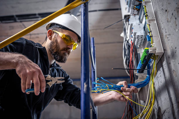 Best Electrical Repair Services  in Homer, IL