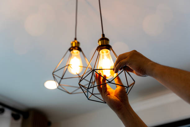 Best Outdoor Lighting Installation  in Homer, IL