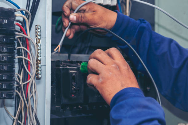 Best Electrical Upgrades for Homes  in Homer, IL