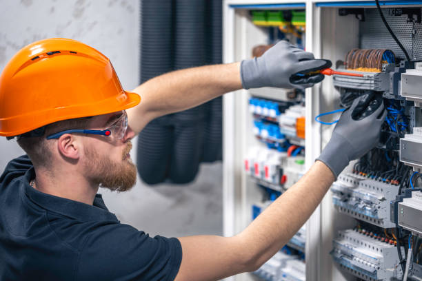 Best Local Electrician Companies  in Homer, IL